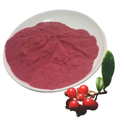 Lingonberry Extract / Lingonberry Powder