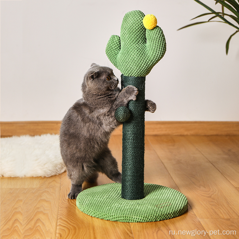 Pet Cat Cactus царапин