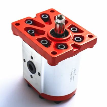 Small Gear Pump Italy Hydraulic Pump Group 2 Biofuel Industry Dewatering Pumps