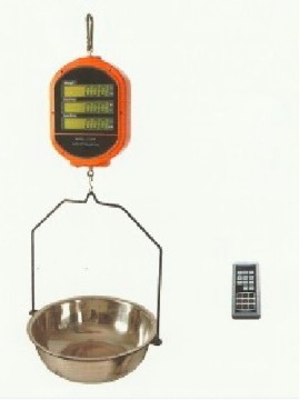 Pricing Crane Scale
