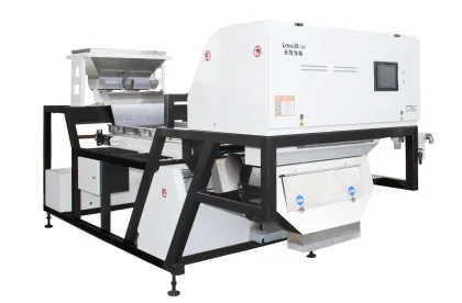 CT60 almonds belt type sorting machine/belt type almonds nut color sorter
