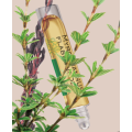 Qiyaamaha Cawska Saliida isha Laalaabka
