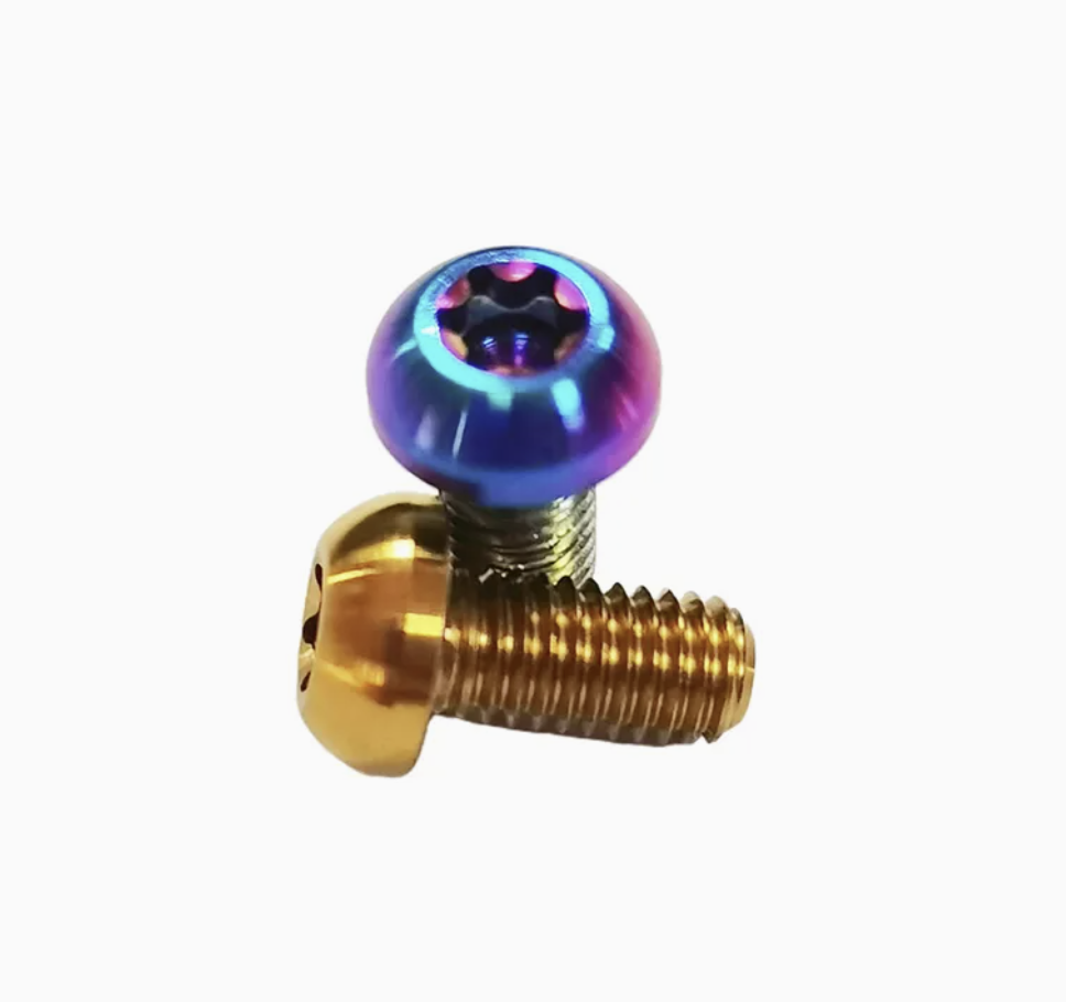 Titanium brake disc screws