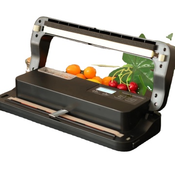 Double Chamber Vacuum Packing Machine - Portable Vacuum Sealer for Meat