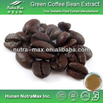 Hot sale Free Sample Green Coffee Bean Extract Gummy Pills