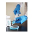 Blue Nitrile gloves Colors gloves