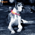 Ροζ νάυλον καμουφλάζ οδήγησε φώτα αναβοσβήνει κολάρο σκυλιών