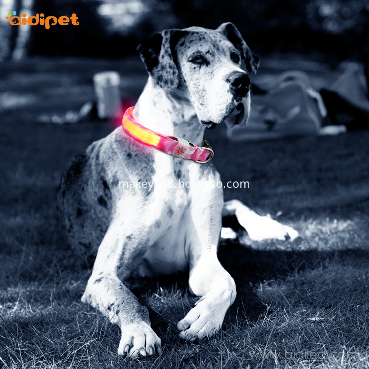 Pink Led Flashing Dog Collar