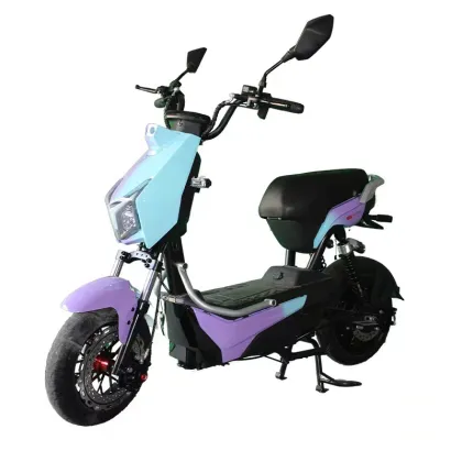 Y2-ZJ Small Motorcycle with Roof