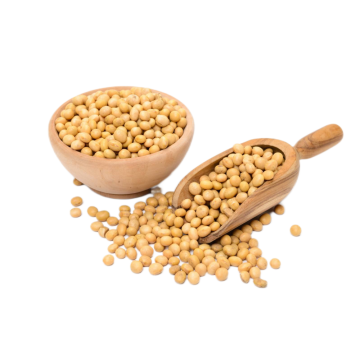 European standard Soybean extract Bean Pulp source