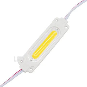 24V LED Module - 2W Warm White (3000K) - IP65 Clear Lens - 12V PVC Injection Backlight Indoor Module by China Supplier