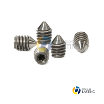 Titanium tanpa kepala skru set untuk dijual