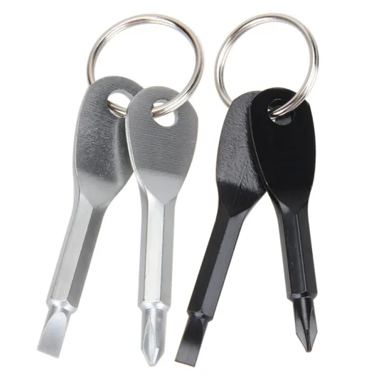 Portable Mini Screwdriver Set with Keychain: Stainless Steel Pocket Tool featuring Cross and Slot Types