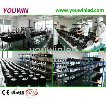 zhenzhen Bridgelux meanwell high power 200w led high bay light saa