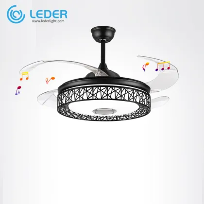 LEDER Modern Ceiling Fan With Lights