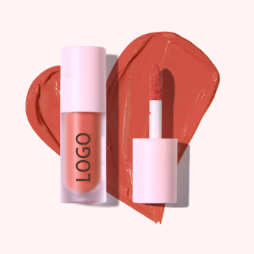 Shiny Lipstick Matte Pump Nude Lip Gloss