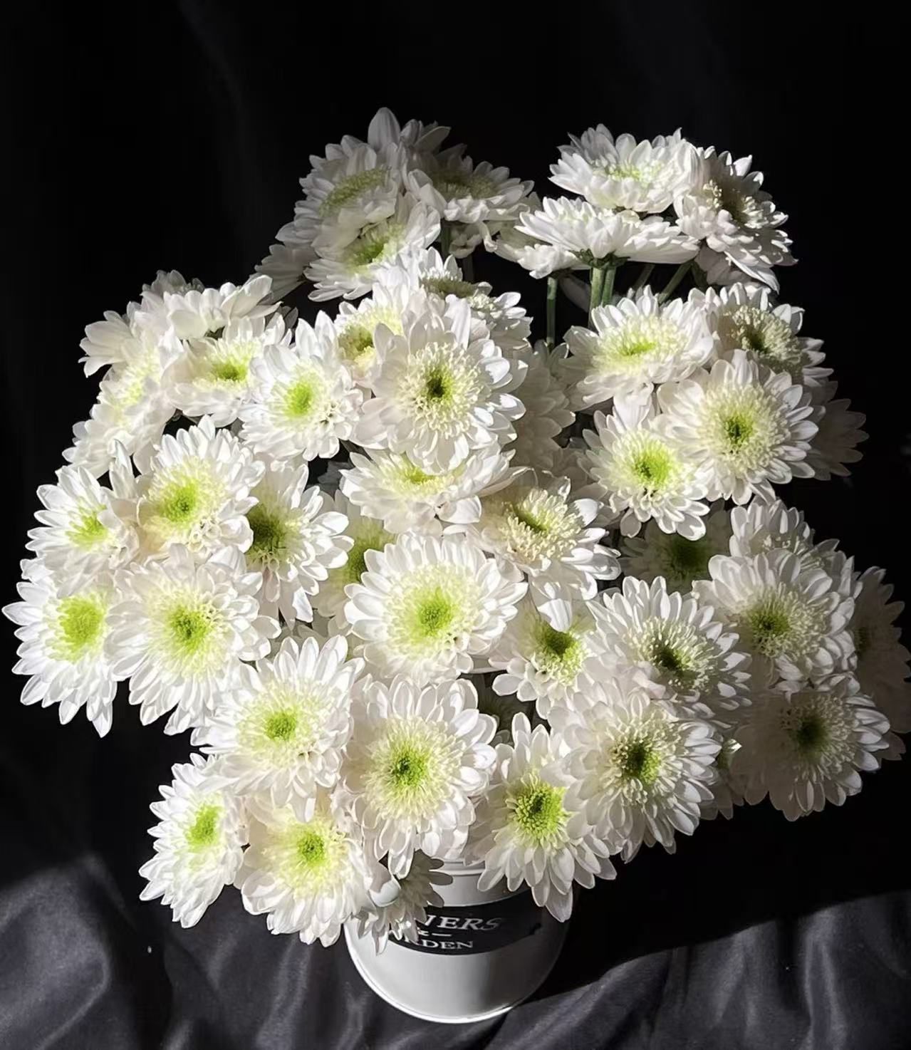 MonaLisa spray white chrysanthemum