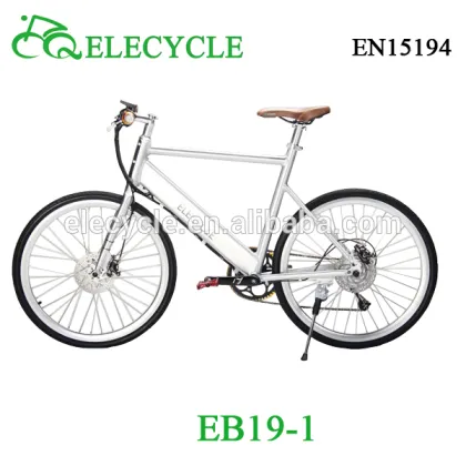 adult slane electric bicycle en 15194