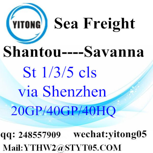 Servizio di autotrasporti Da Shantou a Savanna