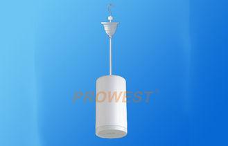 Pendant Commercial Pendant Speaker 10W 6.5