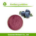Extrato de frutas de mirtilo antienvelhecimento antocianina 25% em pó