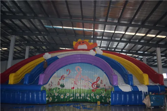 Professional Bouncer Kids Jumping Castle Inflatable Made for schools