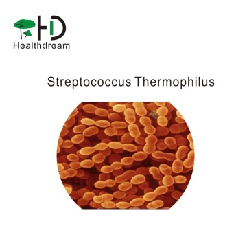 The factory supplies streptococcus thermophilus powder