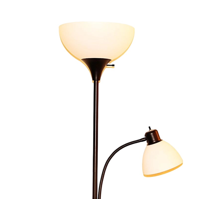 Double-headed glass lampshade floor lamp