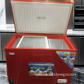 China Hot Selling Single Door Chest/Deep Freezer