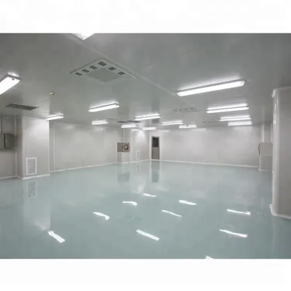 Customized Medical Dust-Free Clean Room Workshop