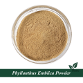 Phyllanthus emblica extract for sale