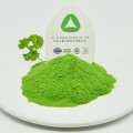 Parsley Powder Green Food and Beverage Additives