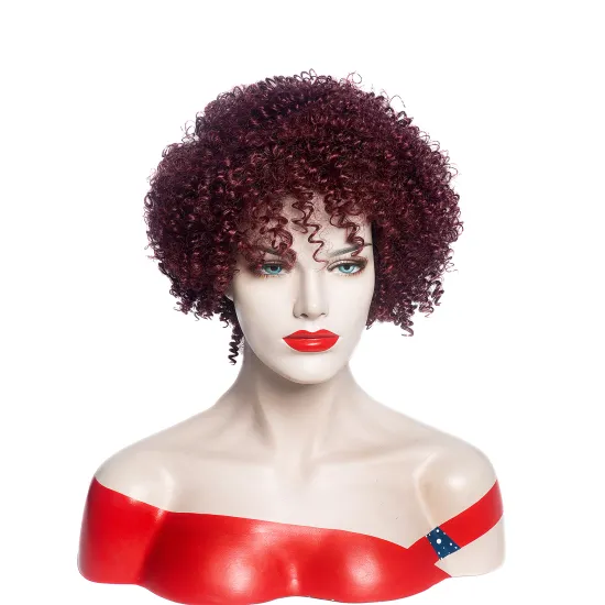 AISHILI Wholesale Synthetic Short burgundy Afro Fluffy Kinky Curly Hair Wigs For Women