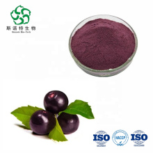 Suplemento de saúde natural açaí extrato de berry antocianinos