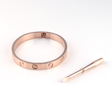 Women stainless steel screw oval bracelet bangle with screwdriver,rose gold decorated