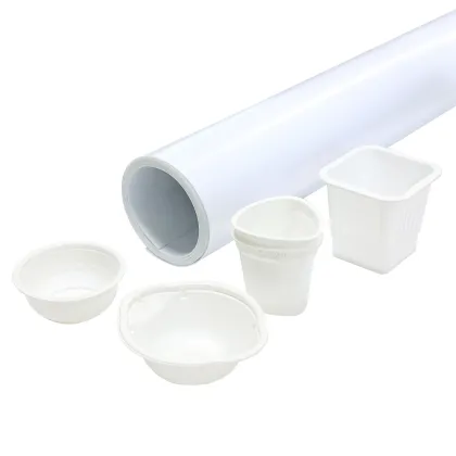 PP Disposable Plastic Pudding/Jelly/Yougurt Cup