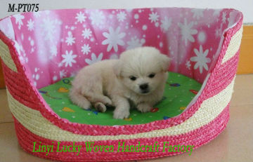 Beautiful Straw pet basket & bed