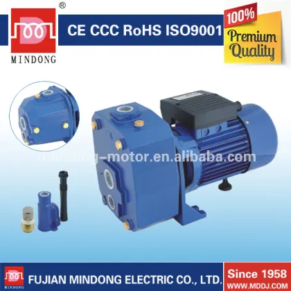 Deep Well Pump Series DP Water Pump