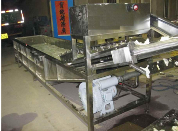 Vegetable Washing Machine 