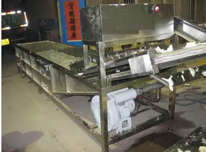 Vegetable Washing Machine 