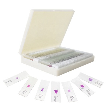 Humanpathologie -Mikroskop -Folie -Set - 100 Stücke für Medizin und Biologie