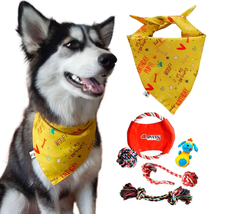 Dog Bandana Plus Set of 5 Dog Toys