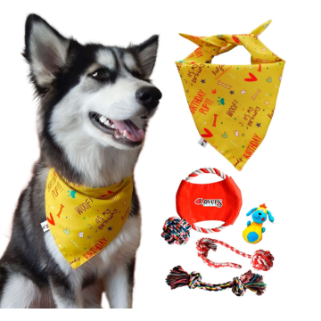 Dog Bandana Plus Set di 5 giocattoli per cani