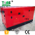 Global Warranty Silent Diesel Generator Price with ATS