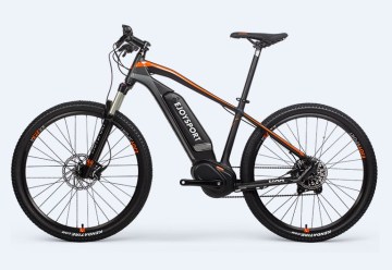 Customized Assisted Electric Bike