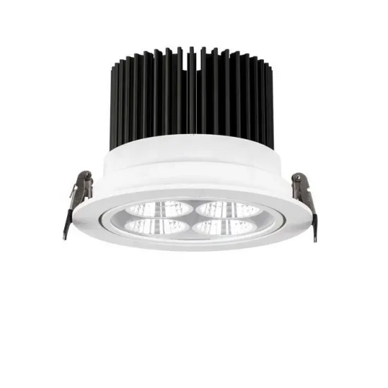 LED Downlights TUV CE RoHS 30w-80w with 100mm-205mm Cutout