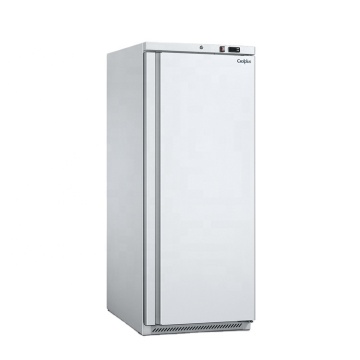 Stainless Steel Vertical Freezers for Commercial Kitchens