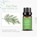 OEM/ODM Tea Tree Essential Oil For Astringent Pore