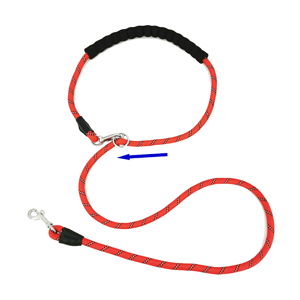 multiple dog leash