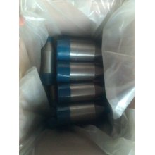 Acero inoxidable Swage Nipple A403